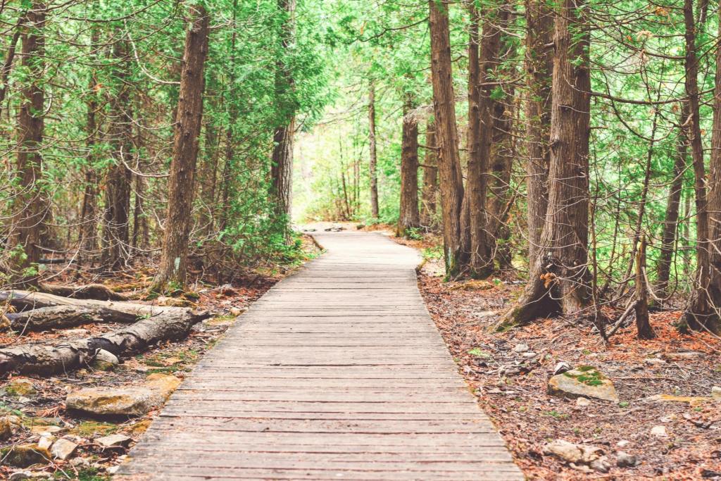 La vocazione umana: il sentiero per l’incontro con&nbsp;Dio.